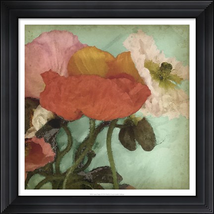 Framed Aquatic Poppies II Print