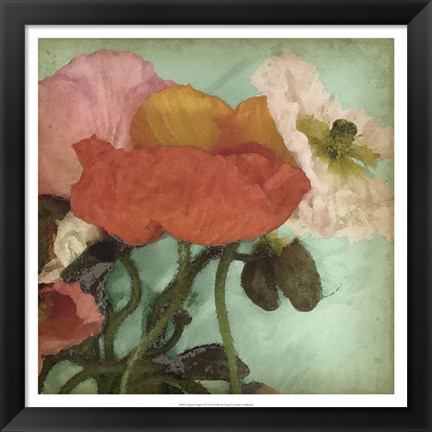 Framed Aquatic Poppies II Print