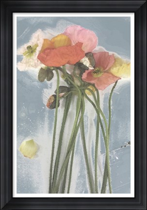 Framed Poppy Spray I Print