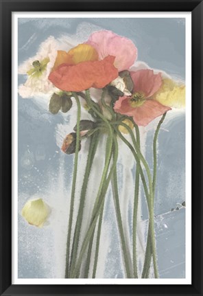 Framed Poppy Spray I Print