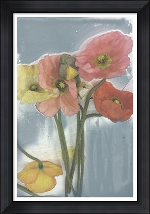 Framed Poppy Spray II Print