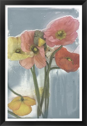 Framed Poppy Spray II Print