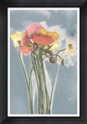 Framed Poppy Spray III Print