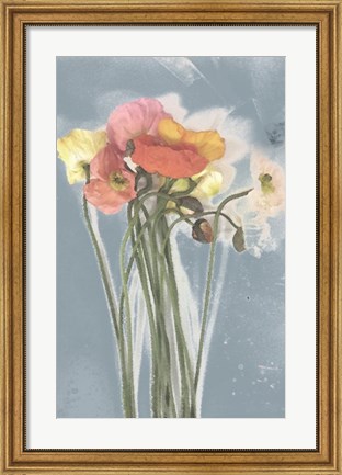 Framed Poppy Spray III Print