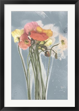 Framed Poppy Spray III Print