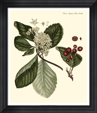 Framed Cherry Tree Print