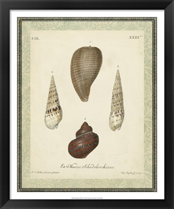 Framed Bookplate Shells V Print