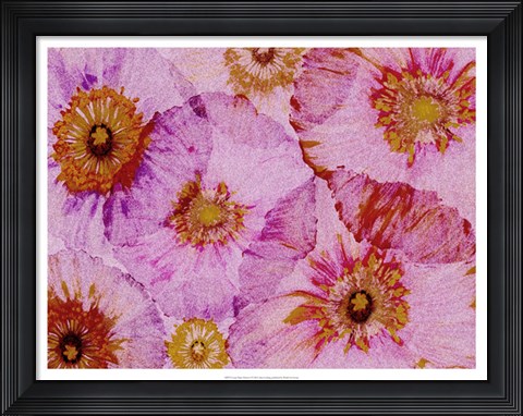Framed Crepe Paper Flowers I Print