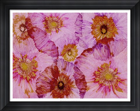 Framed Crepe Paper Flowers II Print