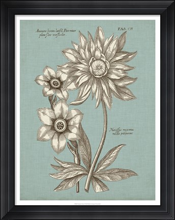 Framed Chambray Chintz I Print