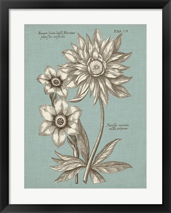 Framed Chambray Chintz I Print