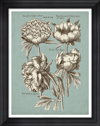 Framed Chambray Chintz II Print