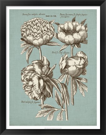 Framed Chambray Chintz II Print