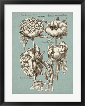 Framed Chambray Chintz II Print