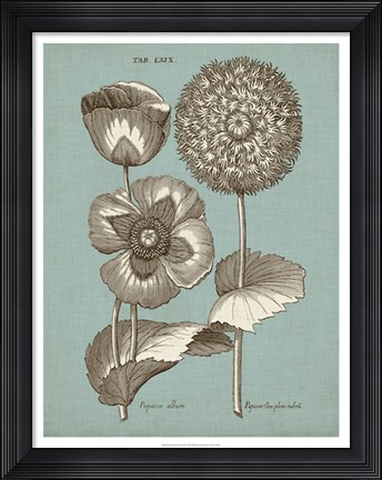 Framed Chambray Chintz III Print