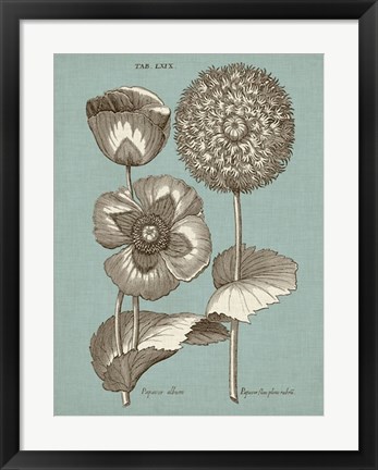 Framed Chambray Chintz III Print