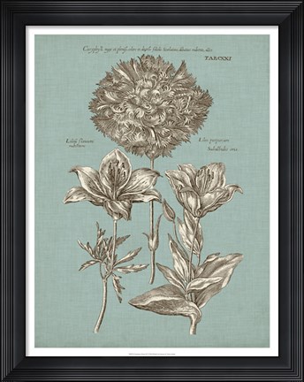 Framed Chambray Chintz IV Print