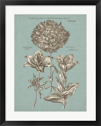 Framed Chambray Chintz IV Print