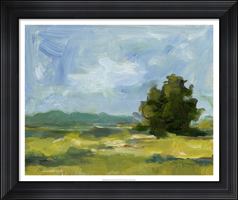 Framed Field Color Study II Print