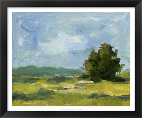 Framed Field Color Study II Print