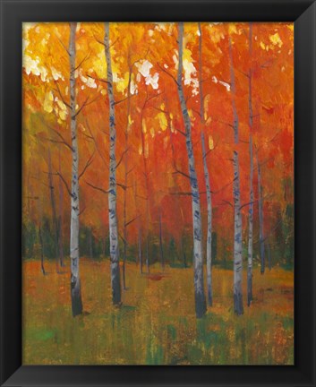 Framed Changing Colors I Print