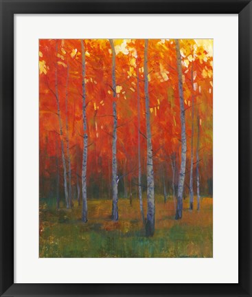 Framed Changing Colors II Print