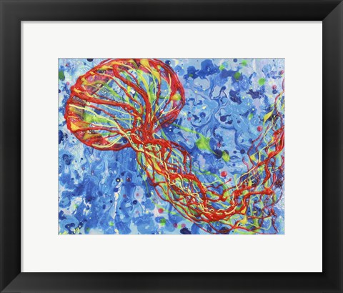 Framed Orange Sea Nettle Print