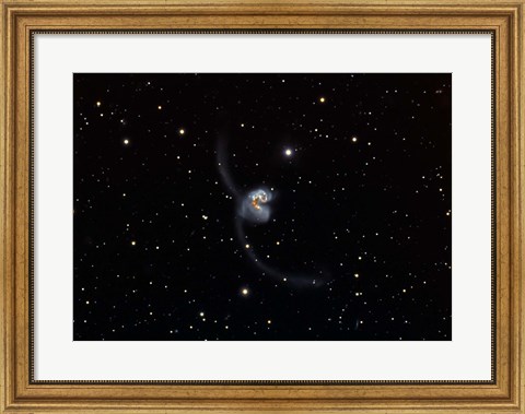 Framed Antennae (NGC 4038 and 4039), interacting pair of galaxies in Corvus Print