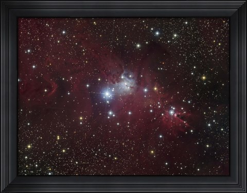 Framed NGC 2264 region showing the Cone Nebula, Christmas Tree Cluster, and Fox Fur Nebula Print