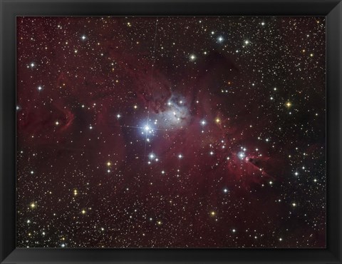 Framed NGC 2264 region showing the Cone Nebula, Christmas Tree Cluster, and Fox Fur Nebula Print