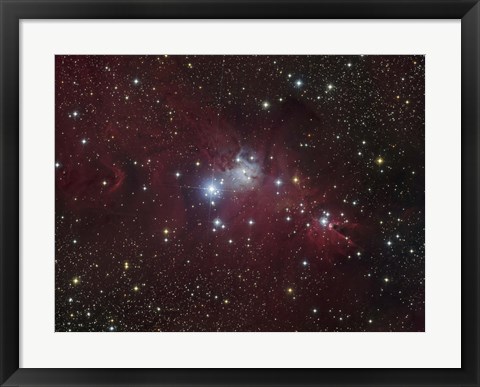 Framed NGC 2264 region showing the Cone Nebula, Christmas Tree Cluster, and Fox Fur Nebula Print