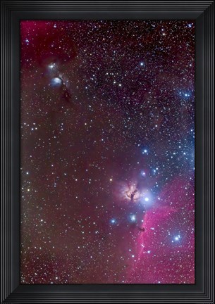 Framed Area around the Belt of Orion, with the Horsehead and Flame Nebula Print