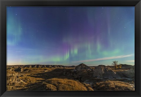 Framed Aurora borealis over the badlands of Dinosaur Provincial Park, Canada Print