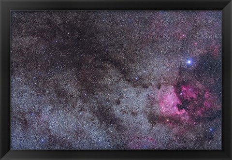 Framed North America Nebula and dark nebulae in Cygnus Print