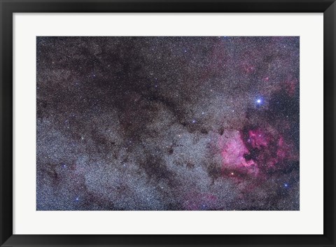 Framed North America Nebula and dark nebulae in Cygnus Print
