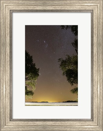 Framed Orion constellation between trees, Buenos Aires, Argentina Print