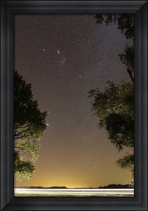 Framed Orion constellation between trees, Buenos Aires, Argentina Print