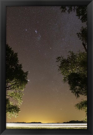 Framed Orion constellation between trees, Buenos Aires, Argentina Print