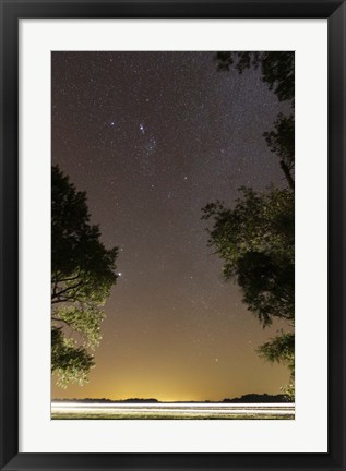 Framed Orion constellation between trees, Buenos Aires, Argentina Print