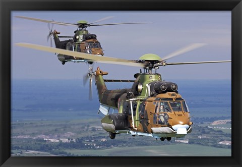 Framed Eurocopter AS532 Cougar helicopters in flight over Bulgaria Print