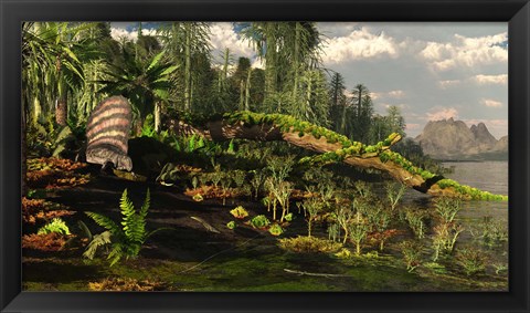 Framed Dimetrodon roams the Mid-Permian Period Print