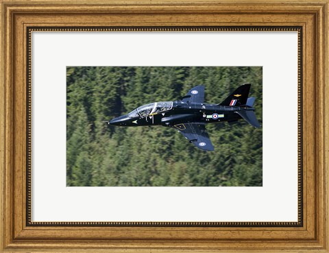 Framed Hawk T1 trainer aircraft of the Royal Air Force flying over a forest in North Wales Print