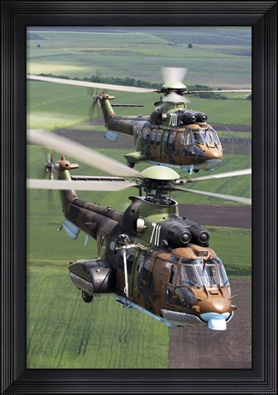Framed Pair of Bulgarian Air Force Eurocopter AS532 AL Cougar helicopters Print
