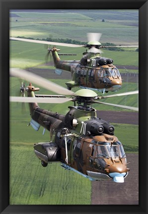 Framed Pair of Bulgarian Air Force Eurocopter AS532 AL Cougar helicopters Print