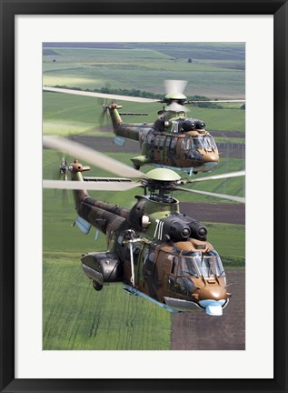 Framed Pair of Bulgarian Air Force Eurocopter AS532 AL Cougar helicopters Print