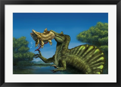 Framed Spinosaurus dinosaur fishing Mawsonias in a mangrove Print