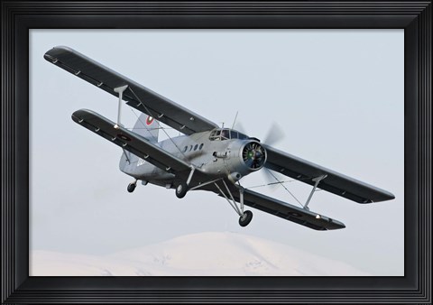 Framed Bulgarian Air Force Antonov An-2 in flight over Bulgaria Print