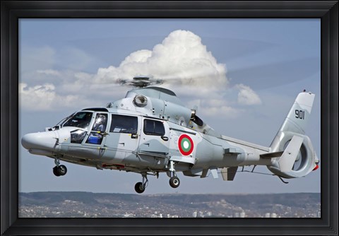 Framed Eurocopter AS-565MB Panther prepares for landing Print