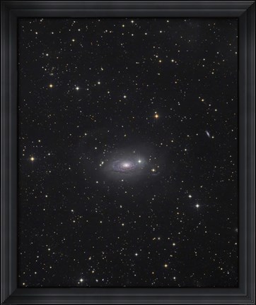 Framed Sunflower Galaxy Print