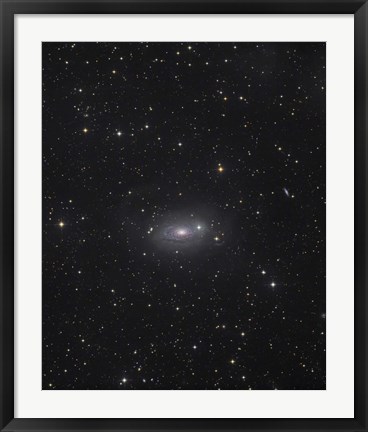Framed Sunflower Galaxy Print